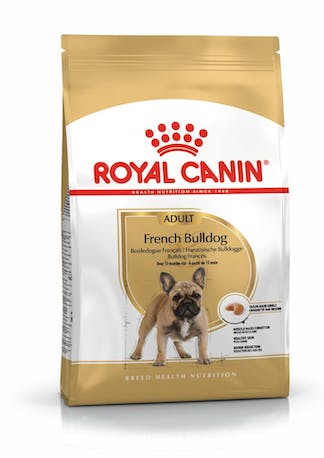 ad-french-bulldog-packshot-stallbyggen
