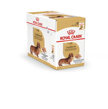 breed-18-dachsund-n-85-box12-cstallbyggen