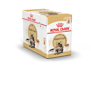 RC Maine Coon Adult Gravy 12x85 gr