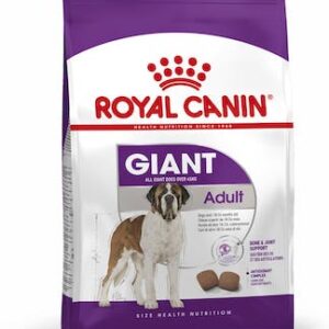 RC Giant Adult 15 kg