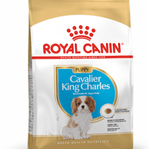 RC Cavalier King Charles Puppy 1,5 kg