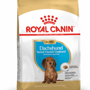 RC Dachshund Puppy 1,5 kg