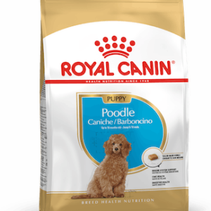 RC Poodle Puppy 3 kg