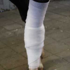 Cellona Polstervadd synt 10cm*2,7m 1st