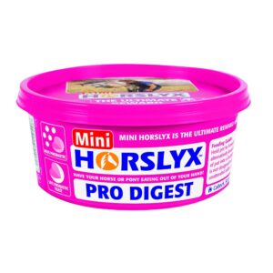 Horslyx mini Pro Digest 650 gr