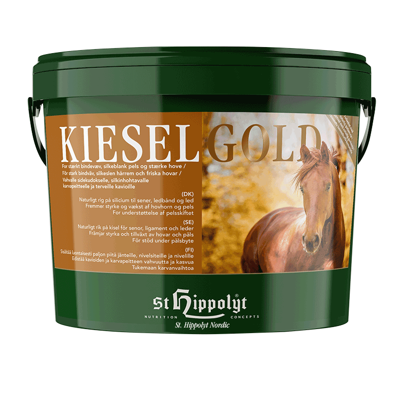 Hippolyt-Nordic-Kieselgold