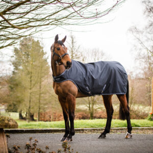 Amigo Walker Rug 100gr Navy L