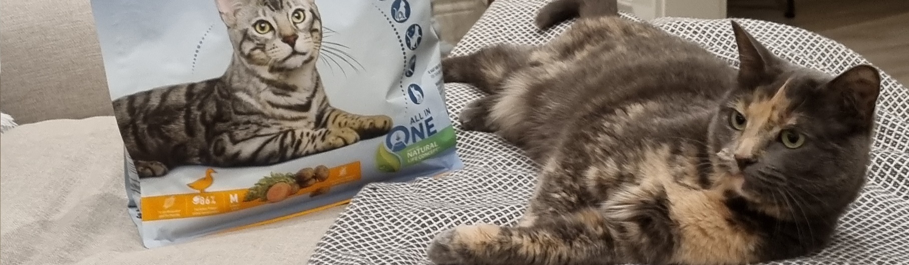 Kattsand & Kattströ