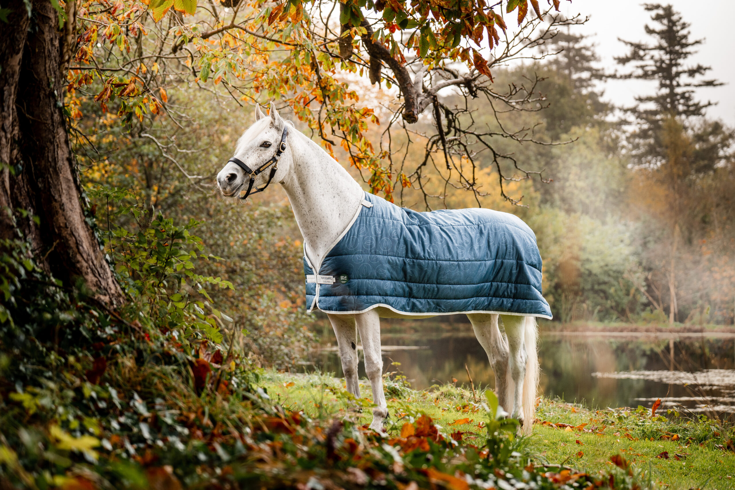ahhek1-c5tj_horseware-ameco-liner-100g (1)