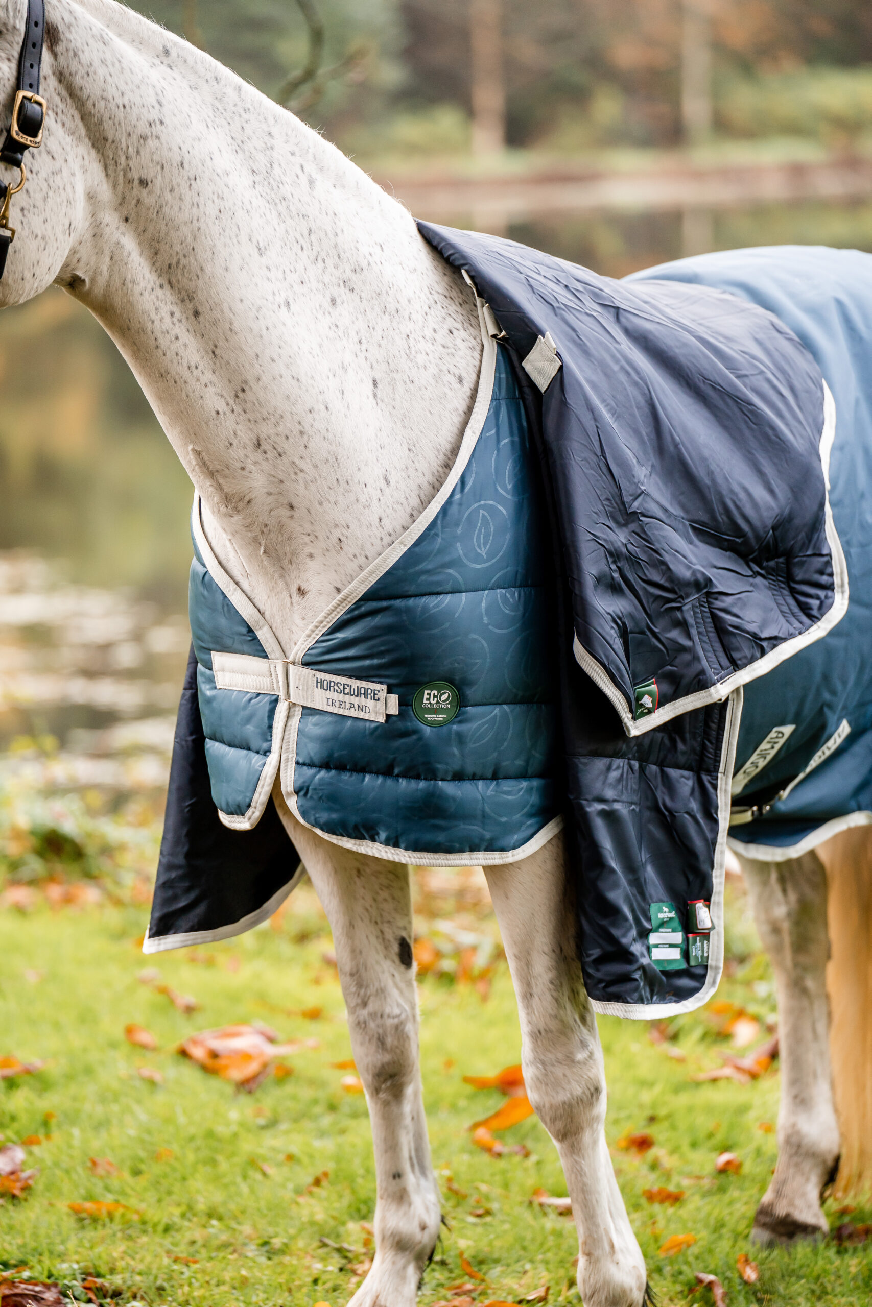 ahhek1-c5tj_horseware-ameco-liner-100g (22)