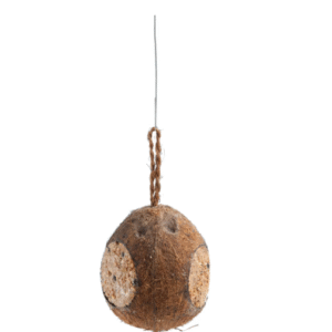 Kokosnöt med 3 öppningar 480 gr